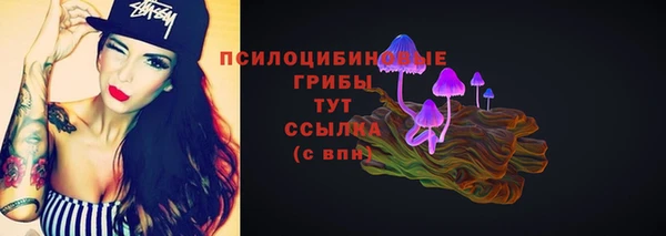 PSILOCYBIN Абинск