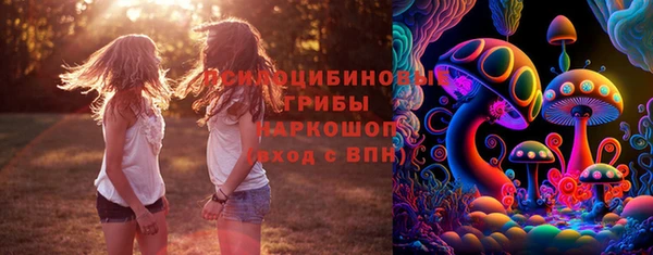 герыч Зеленокумск