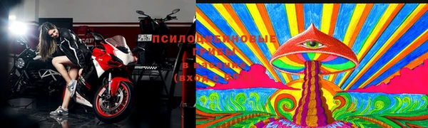 PSILOCYBIN Абинск
