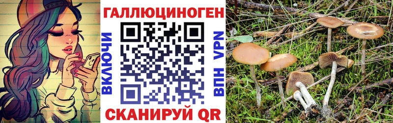 Галлюциногенные грибы прущие грибы  дарнет шоп  Сычёвка 